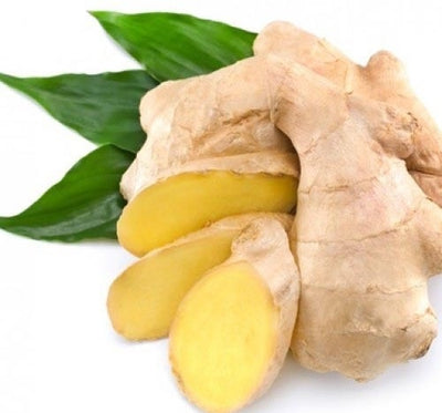 Ginger Root Essential Oil
