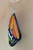 Butterfly Wing Earrings