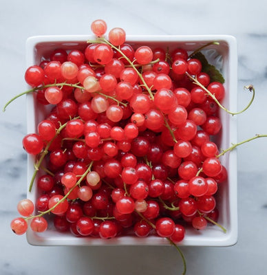 Red Currant Oil