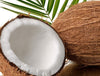 Coconut Fragrance Oil