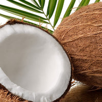 Coconut Fragrance Oil