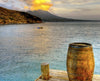 Bay Rum Oil