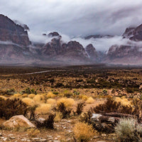 Mountain Rain Oil